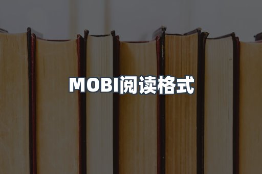 MOBI阅读格式